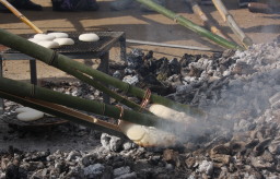 �������͊e�����Q�̂悤�ł���^^