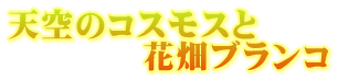 天空のコスモスと 花畑ブランコ